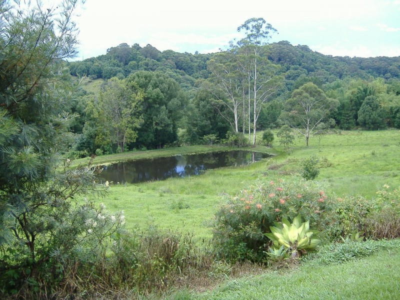 343 Fernvale Road, Fernvale NSW 2484