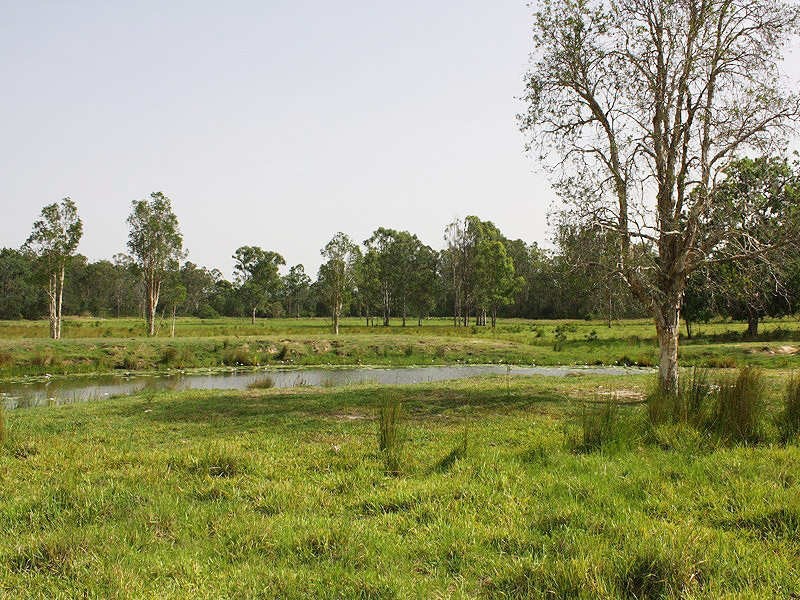 Busbys Flat NSW 2469