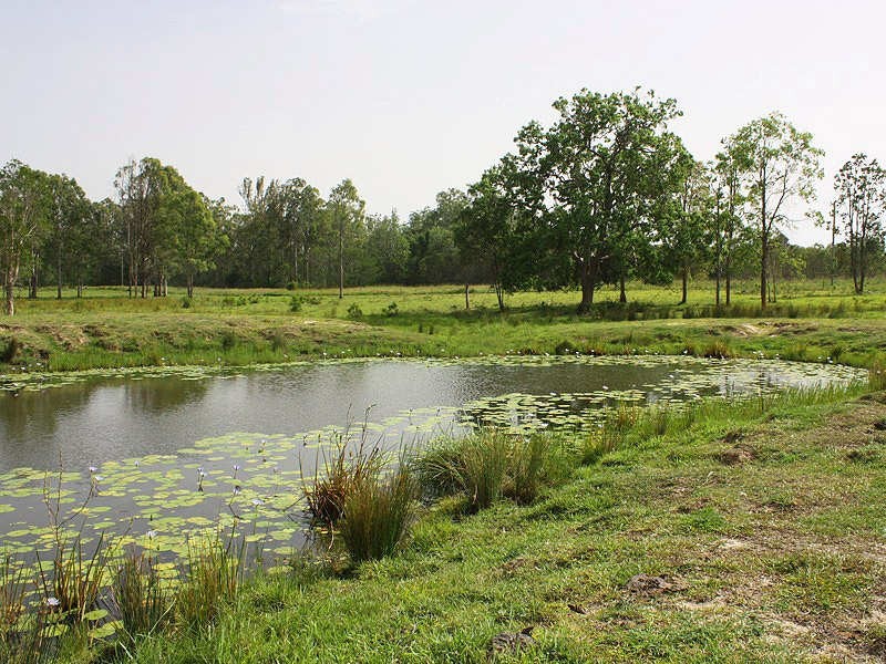 Busbys Flat NSW 2469