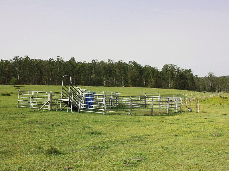 Busbys Flat NSW 2469