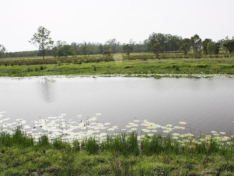 Busbys Flat NSW 2469