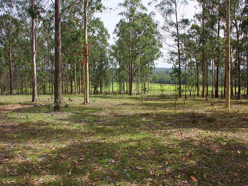 Busbys Flat NSW 2469