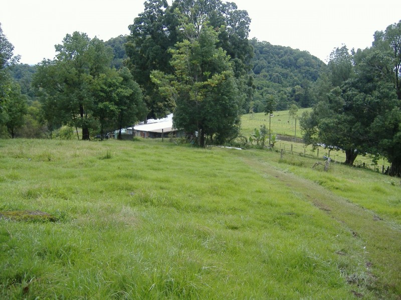 Crystal Creek NSW 2484