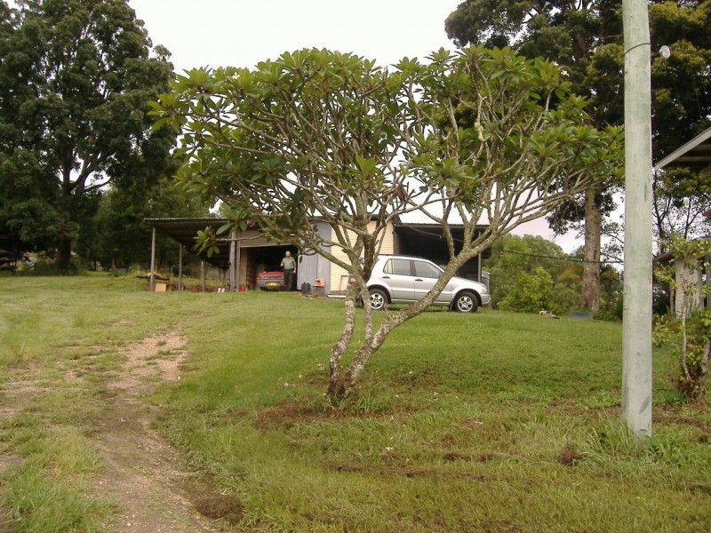 Crystal Creek NSW 2484