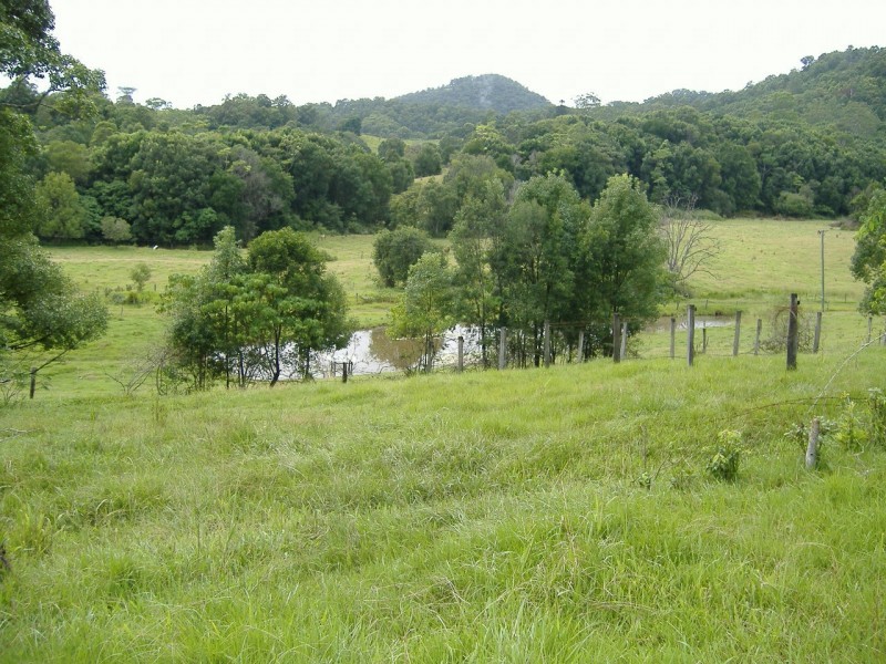 Crystal Creek NSW 2484