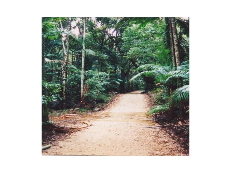 Byrrill Creek NSW 2484