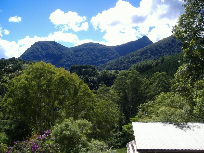 Byrrill Creek NSW 2484