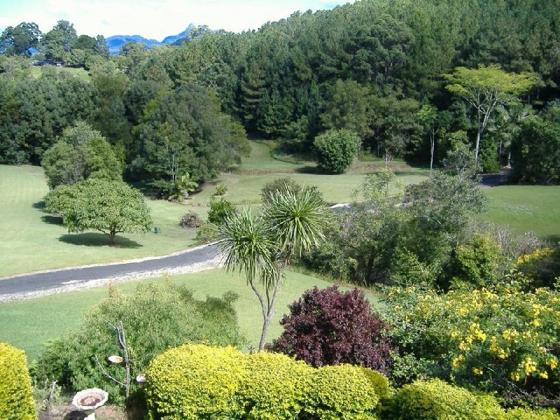 Murwillumbah NSW 2484