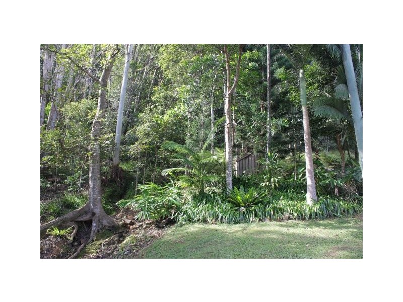Uki NSW 2484