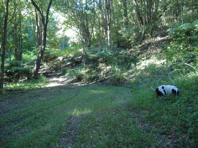 Burringbar NSW 2483
