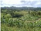 Murwillumbah NSW 2484