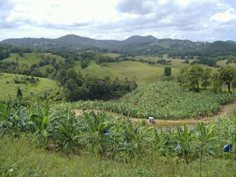 Murwillumbah NSW 2484