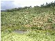 Murwillumbah NSW 2484