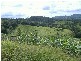 Murwillumbah NSW 2484
