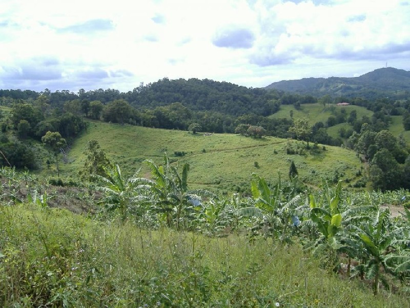 Murwillumbah NSW 2484