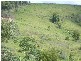 Murwillumbah NSW 2484