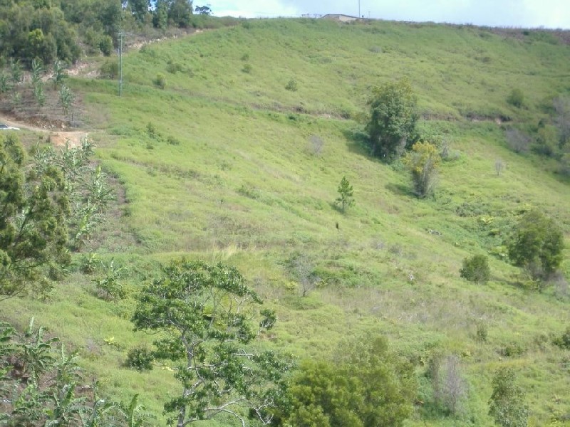 Murwillumbah NSW 2484