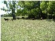 Dunbible NSW 2484