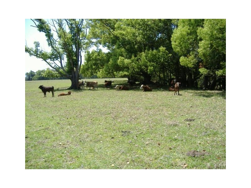 Dunbible NSW 2484
