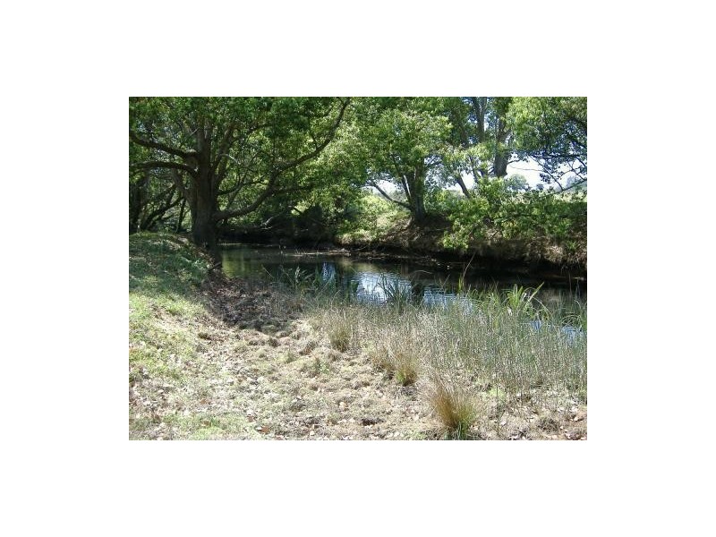 Dunbible NSW 2484