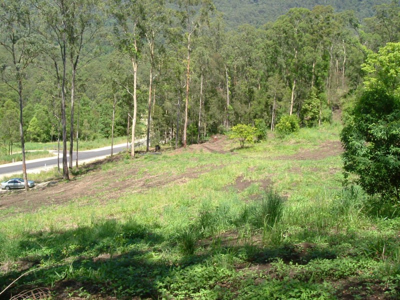 Tyalgum NSW 2484