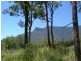 Tyalgum NSW 2484