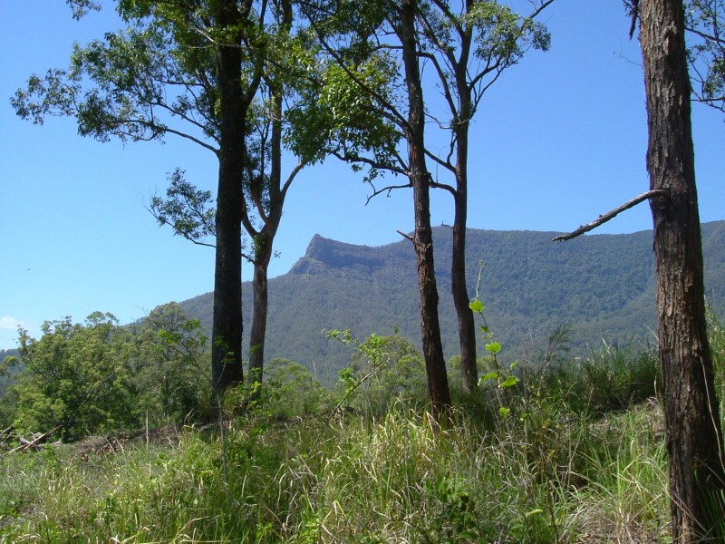 Tyalgum NSW 2484