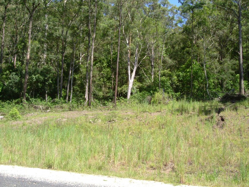 Tyalgum NSW 2484