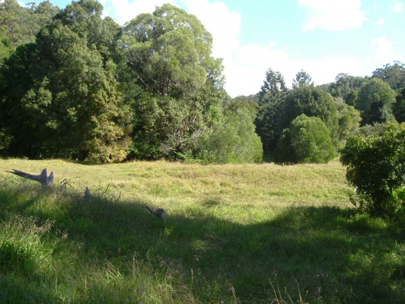 Reserve Creek NSW 2484