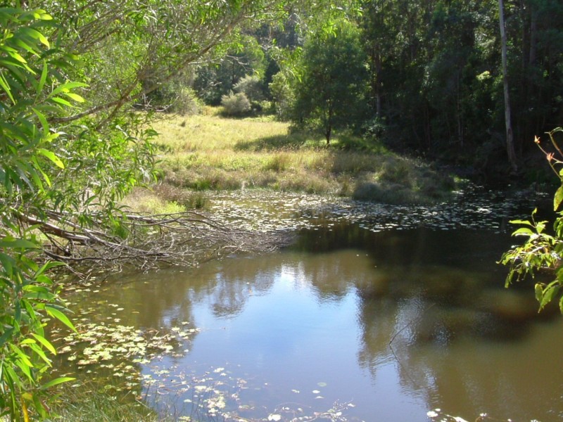 Reserve Creek NSW 2484