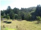 Reserve Creek NSW 2484