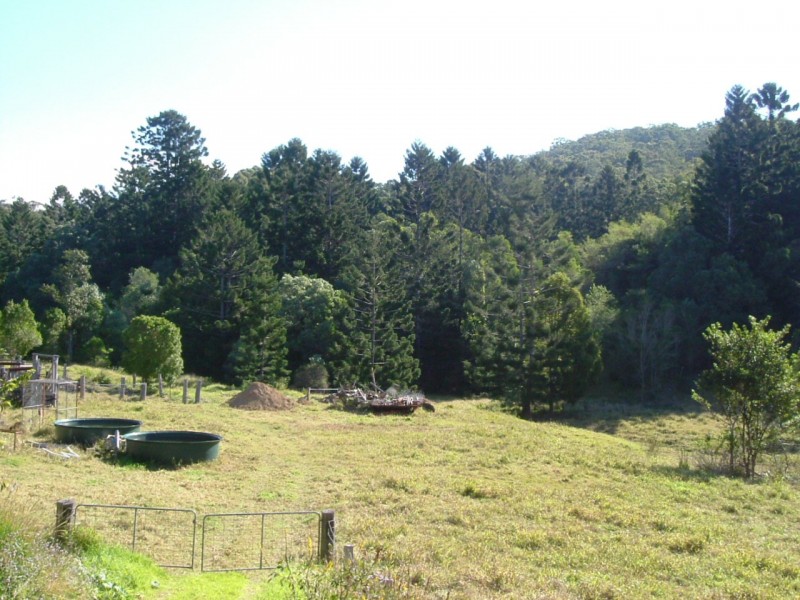Reserve Creek NSW 2484