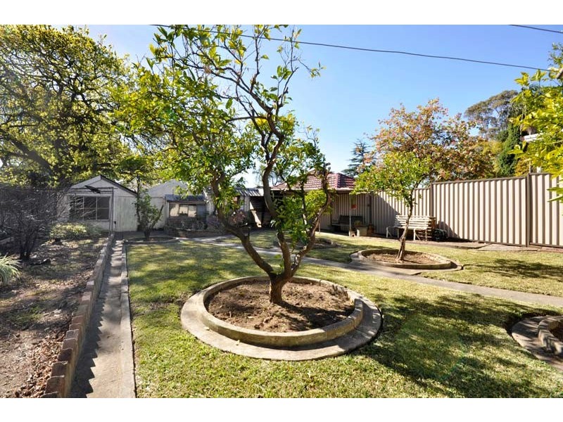 141 Ashley Street, Chatswood NSW 2067