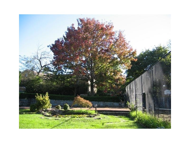 165 Rosedale Road, St Ives NSW 2075