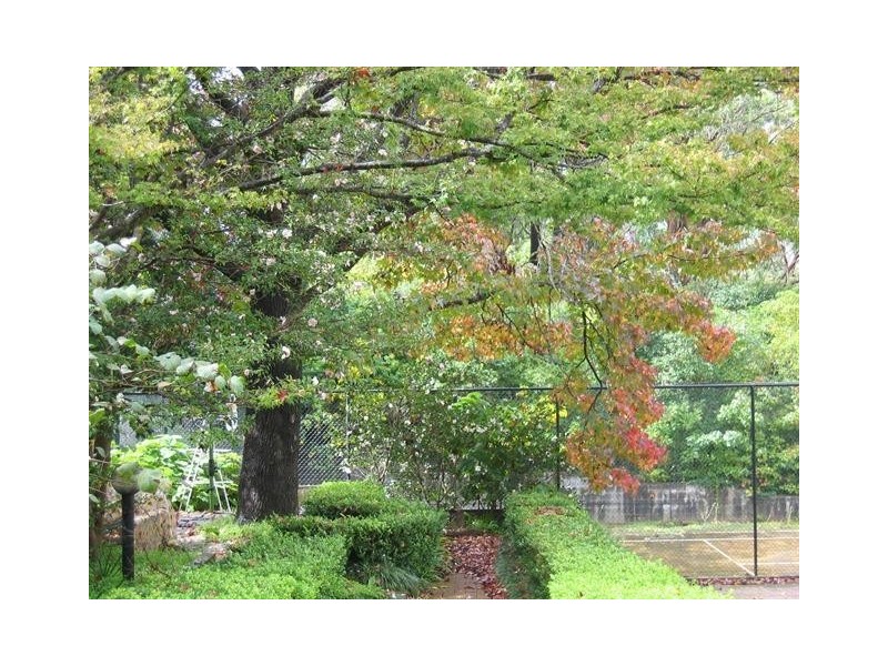 165 Rosedale Road, St Ives NSW 2075