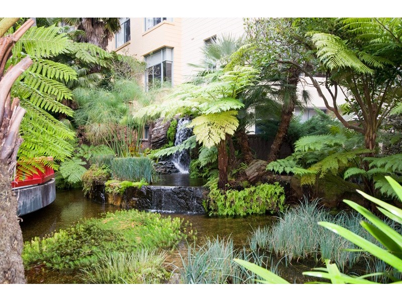 44/1 Amherst Street, Cammeray NSW 2062