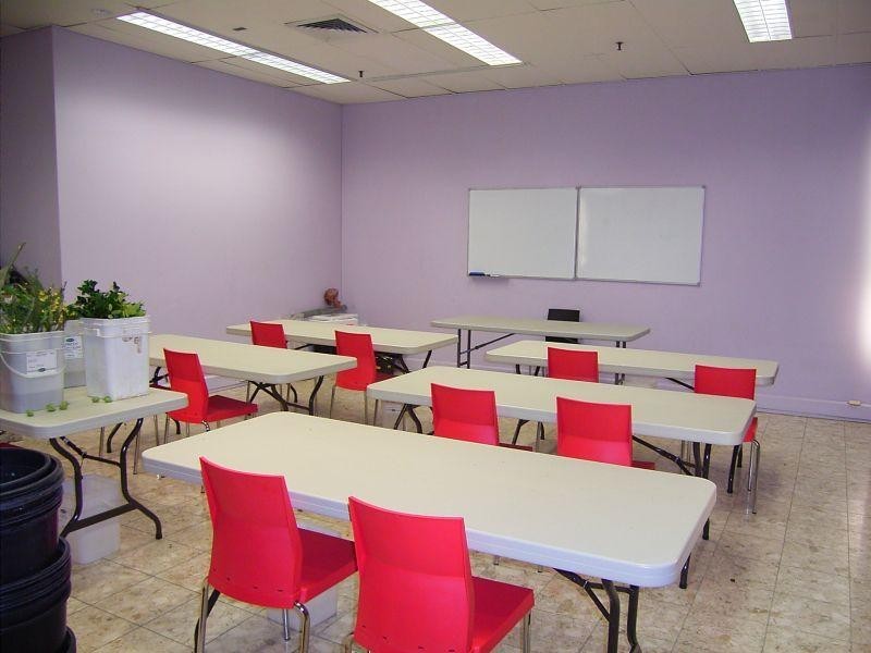 Victoria Avenue, Chatswood NSW 2067