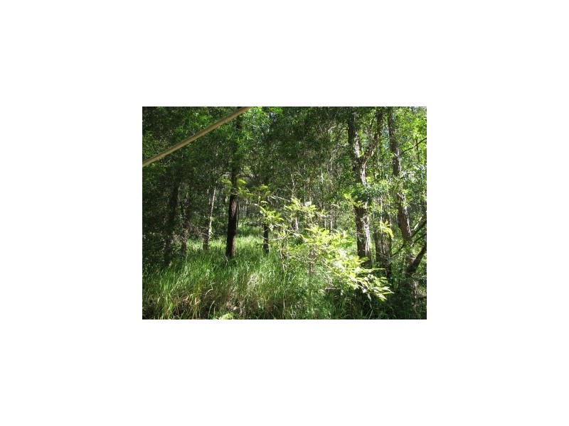 Rock Valley NSW 2480