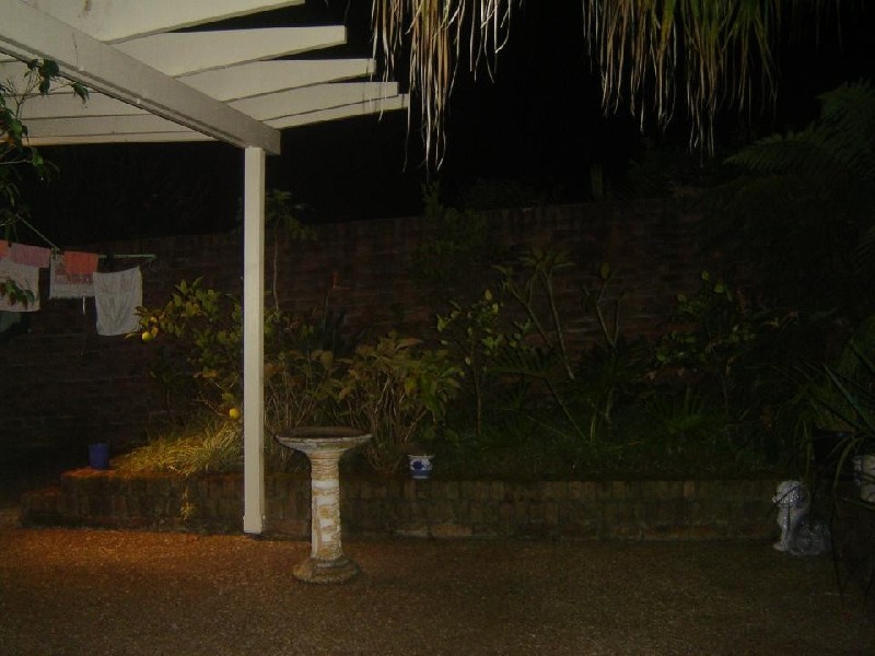 Carlotta Road, Double Bay NSW 2028