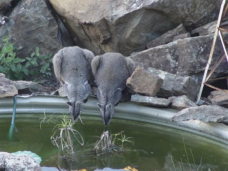 Turkey Beach QLD 4678