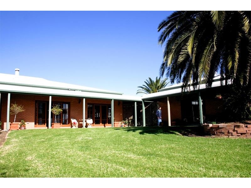 Scone NSW 2337