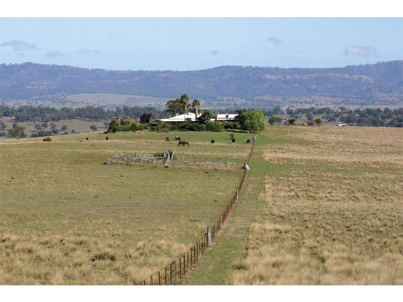 Scone NSW 2337