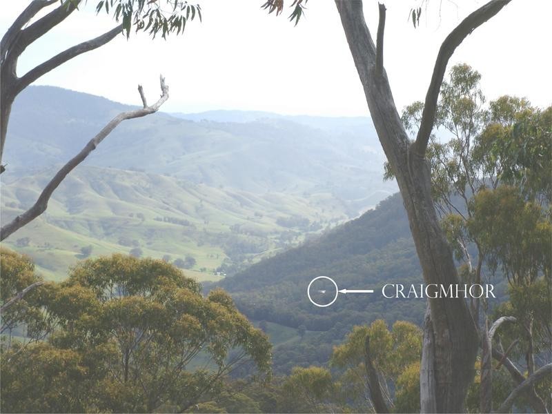 Upper Rouchel NSW 2336
