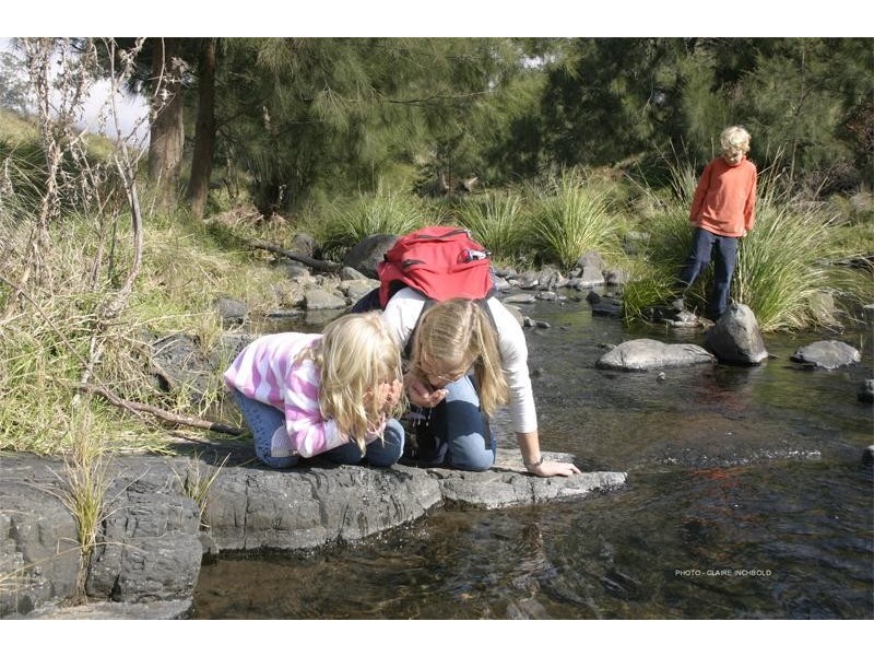 Upper Rouchel NSW 2336