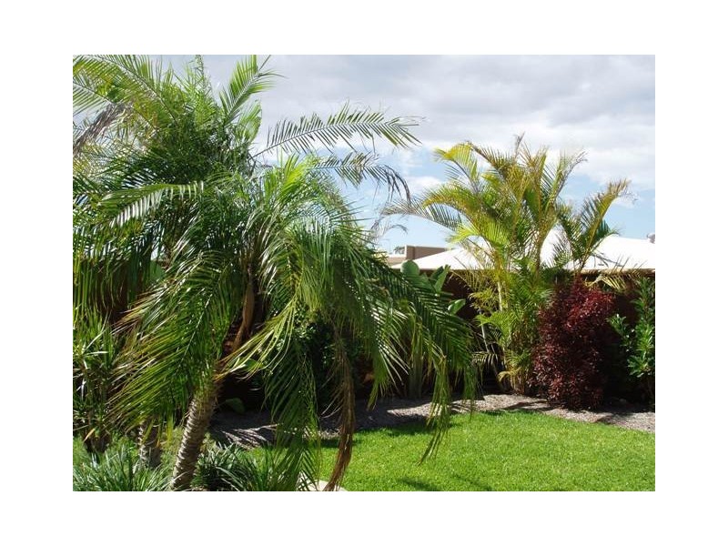 Pacific Pines QLD 4211