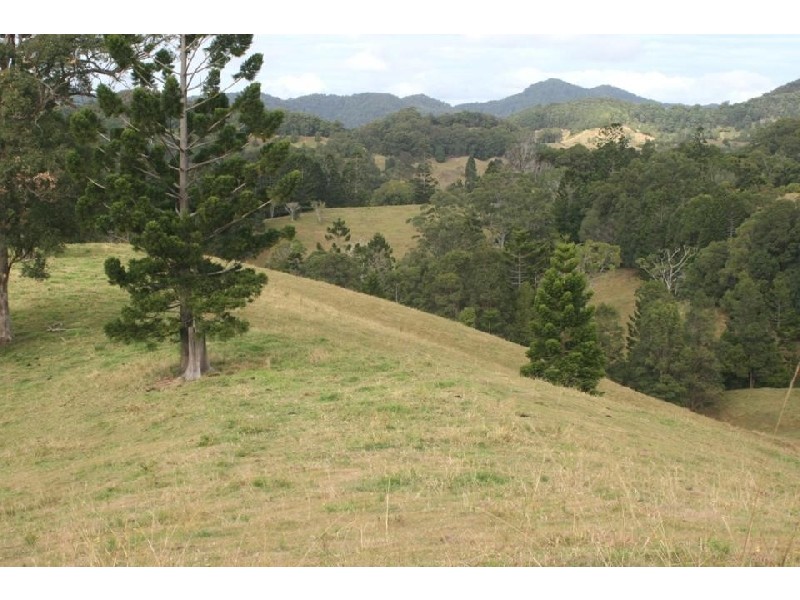 Murwillumbah NSW 2484