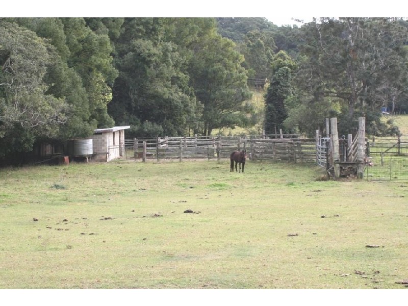 Murwillumbah NSW 2484