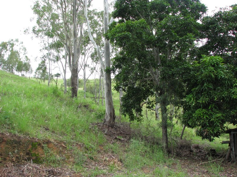 Mount Morgan QLD 4714