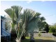 Baree QLD 4714