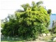 Baree QLD 4714